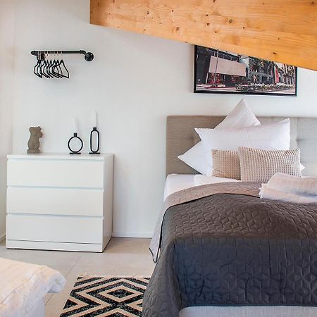 ※Luxus Loft Mit Boxspringbetten Und Heimkino ※ Inzlingen Exterior photo